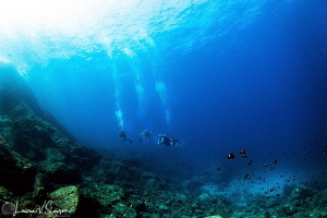 Divers at San Pedro Nolasco in San Carlos, Sonora, Mexico... by Laurie Slawson 